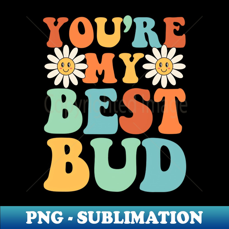 NE-20231101-202_60s and 70s Hippie Hippies Retro Vintage Hippy Flower 2096.jpg