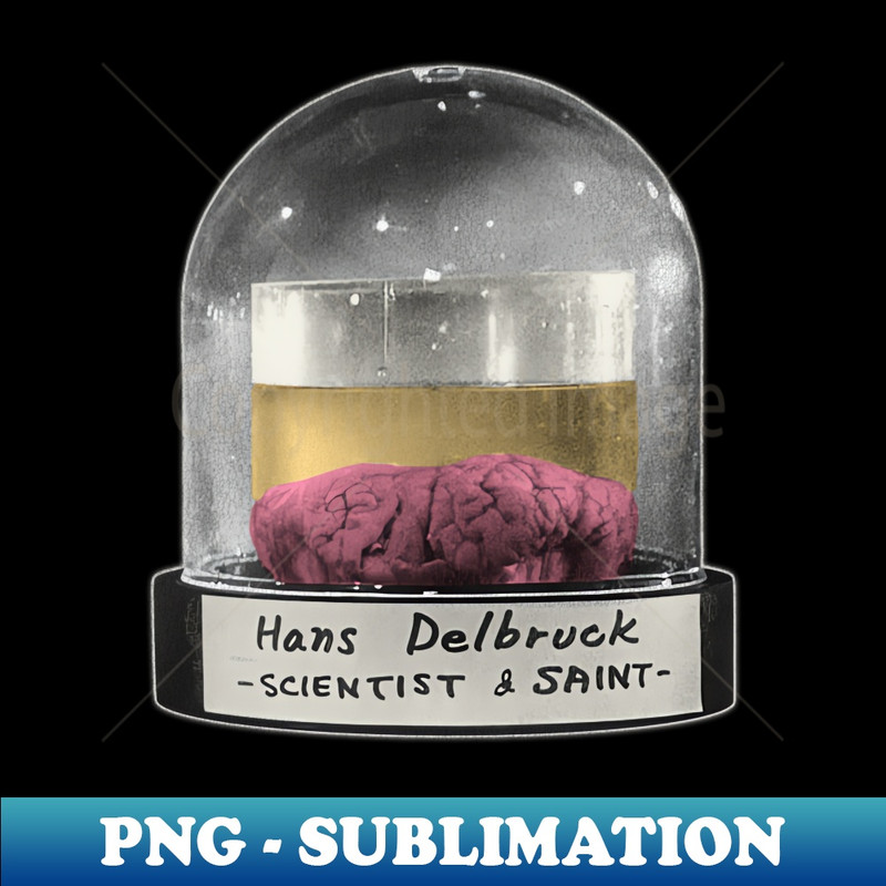 NQ-20231101-10486_Hans Delbruck Brain Jar 4478.jpg