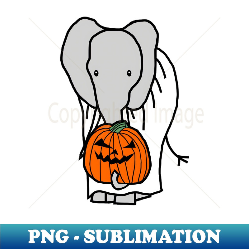 NT-20231101-7095_Elephant with Halloween Horror Pumpkin Ghost Costume 4242.jpg