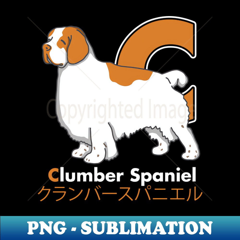 NV-20231101-4478_Clumber Spaniel Letter C 7548.jpg