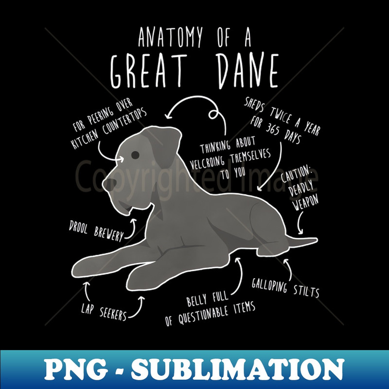 NW-20231101-2704_Blue Great Dane Dog Anatomy 8108.jpg