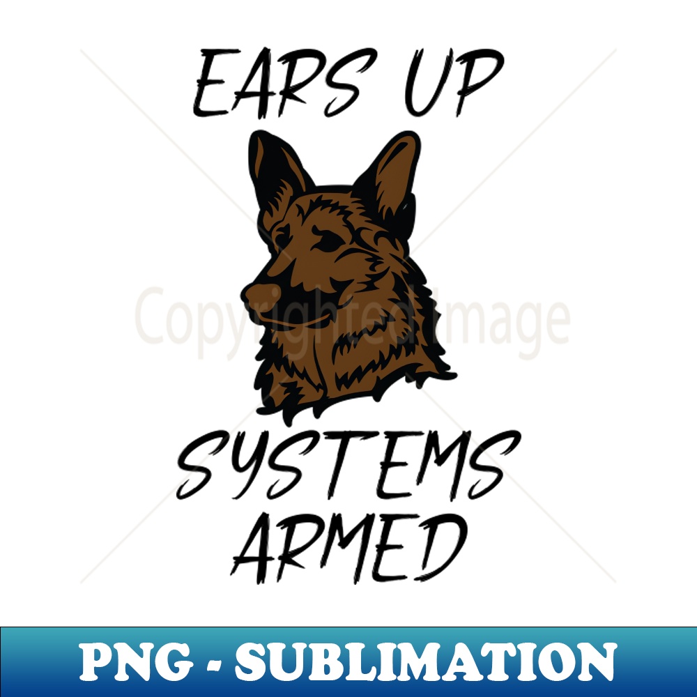 OF-20231101-9412_German Shepherd Ears Up Systems Armed 1507.jpg