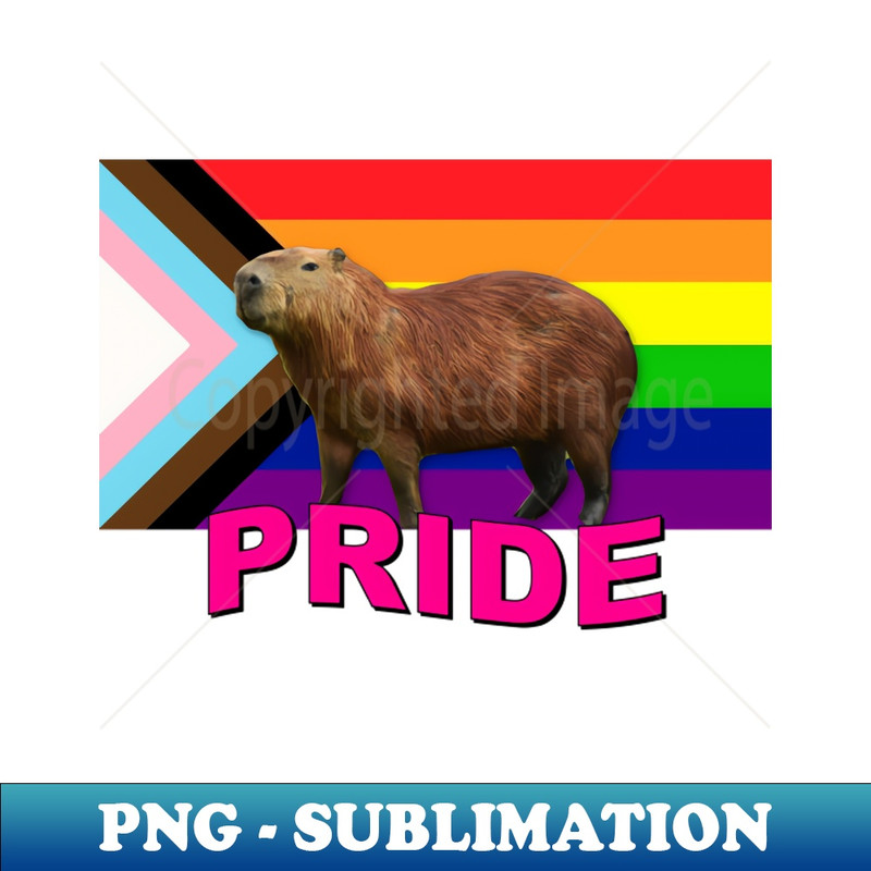 OK-20231101-3599_Capybara Pride Flag 1898.jpg
