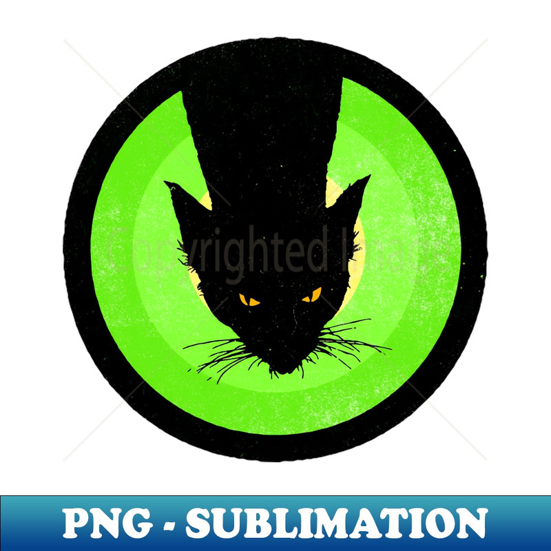 OL-20231101-20769_Retro Vintage Black Cat 4776.jpg