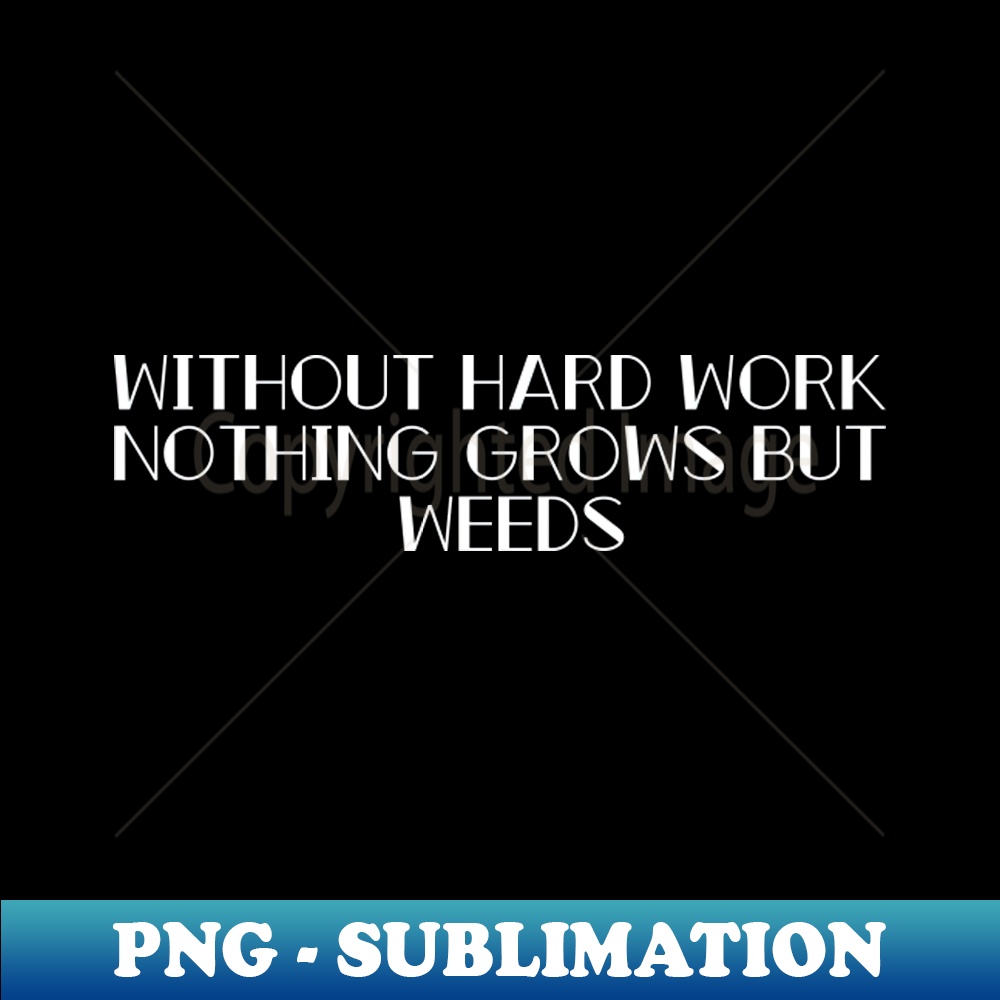 OM-20231101-12939_Inspirational Quotes 8713.jpg