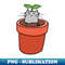 ON-20231101-3754_Cat Planter 3253.jpg
