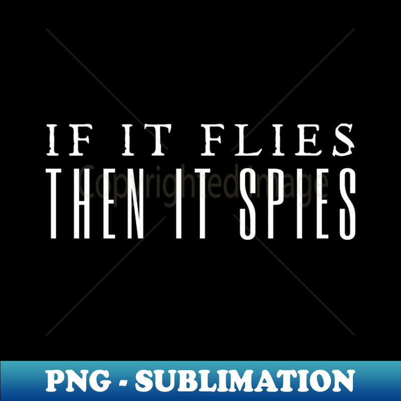 OP-20231101-12455_If It Flies It Spies 7783.jpg