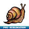 OS-20231101-22411_Snail 6208.jpg