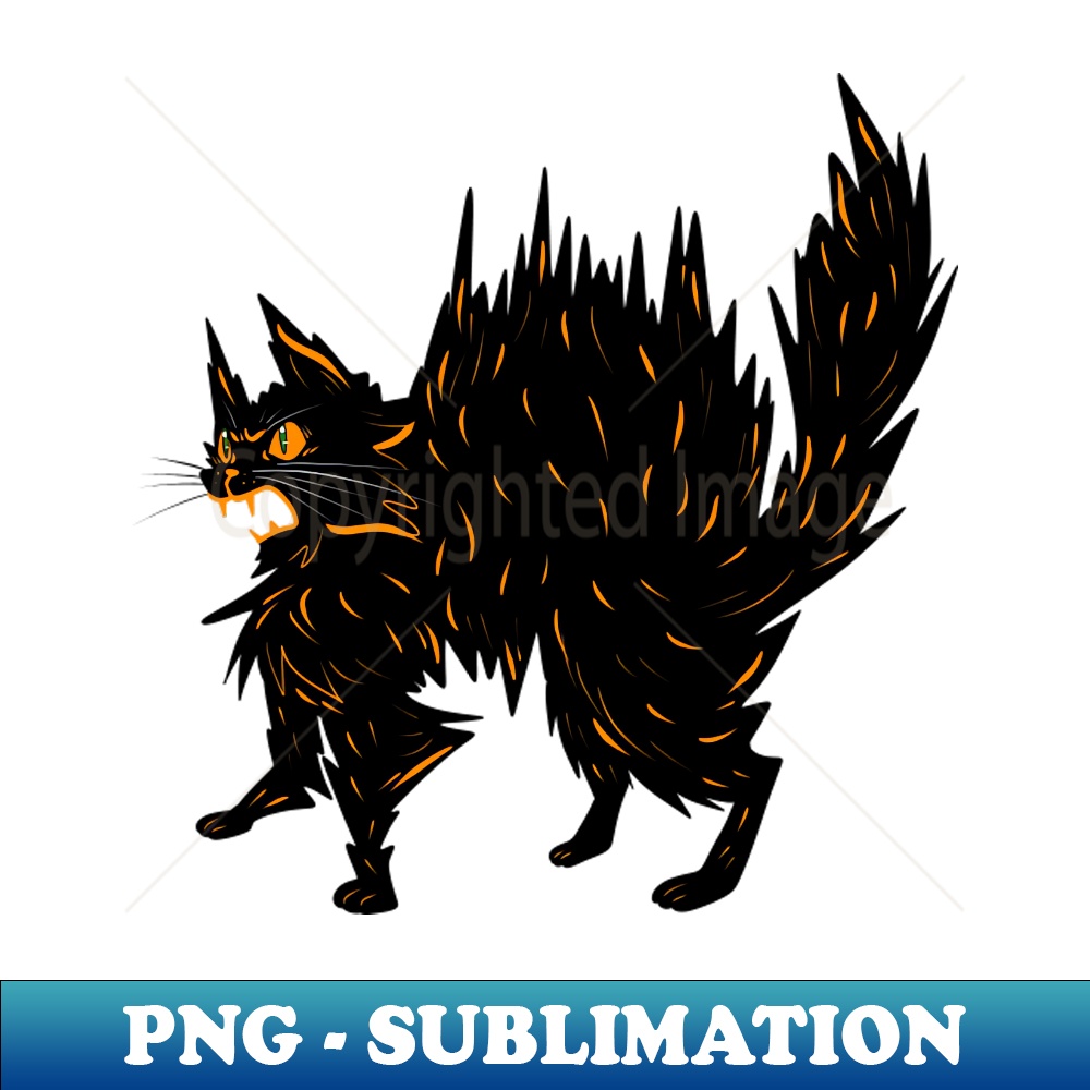 OT-20231101-1015_Angry Halloween Black Cat 9254.jpg