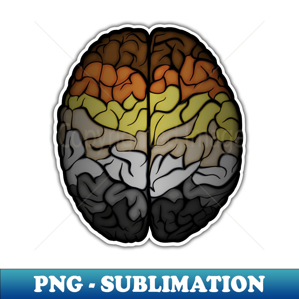 PK-20231101-14372_Large Gay Bear Pride Flag Colored Brain 9617.jpg