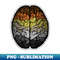 PK-20231101-14372_Large Gay Bear Pride Flag Colored Brain 9617.jpg