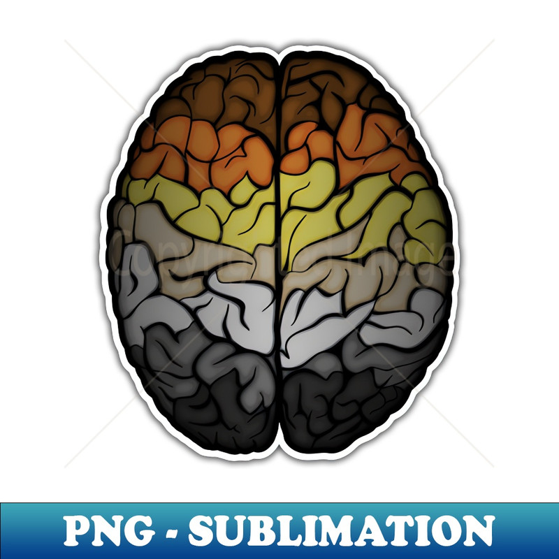 PK-20231101-14372_Large Gay Bear Pride Flag Colored Brain 9617.jpg