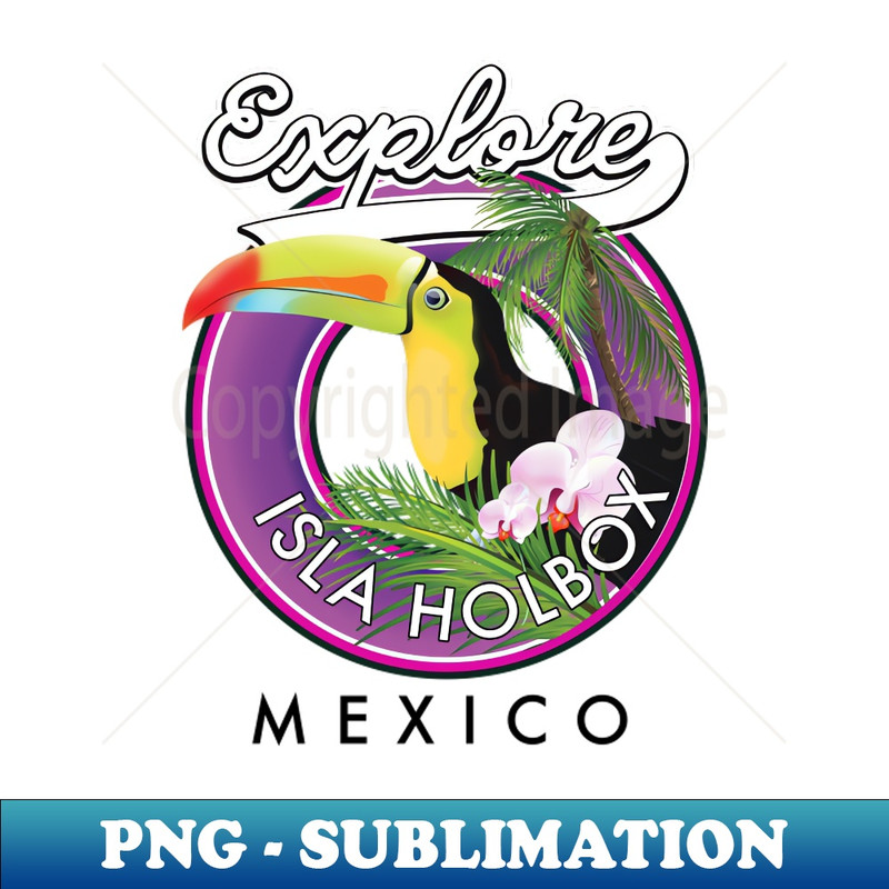 PU-20231101-13086_Isla Holbox Mexico travel patch 1464.jpg