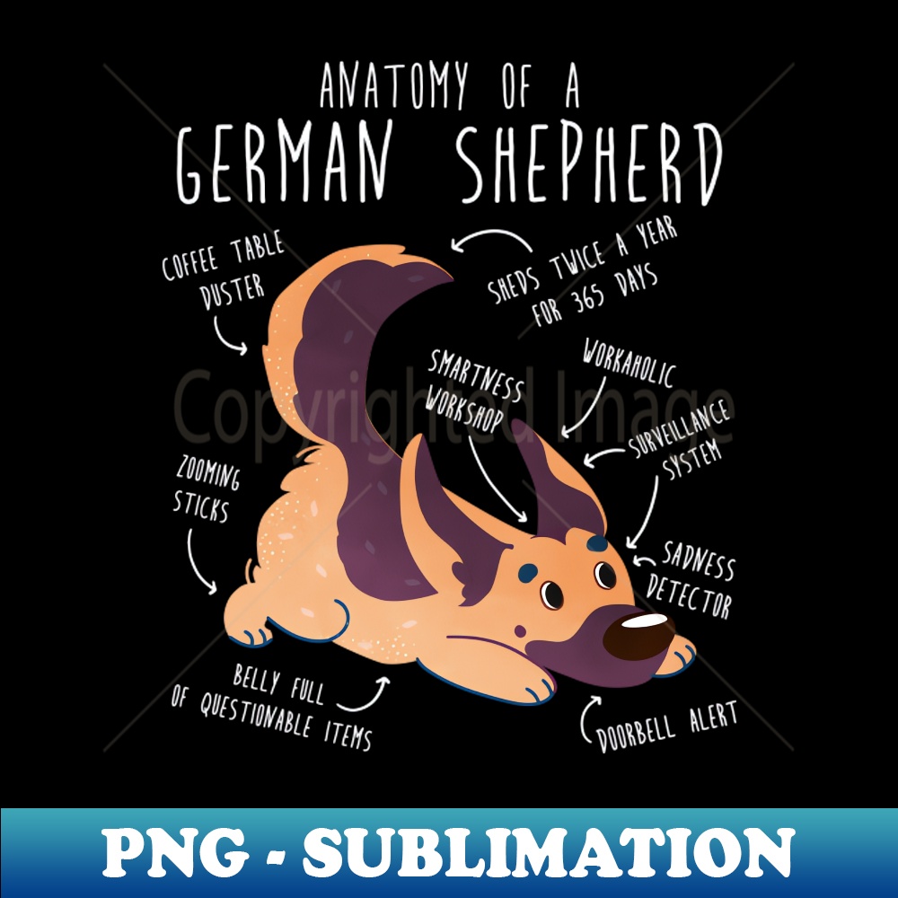 PU-20231101-9410_German Shepherd Dog Anatomy 8228.jpg