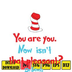 you are you, now isn't that pleasant  ,be who you are and say what you feel