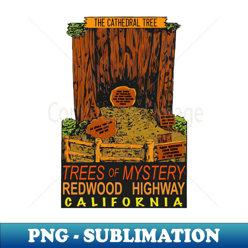 QD-20231101-25372_Trees of Mystery Redwood California 8371.jpg