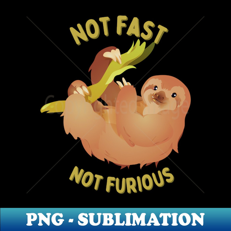 QG-20231101-22289_Sloth Not Fast Not Furious 8565.jpg