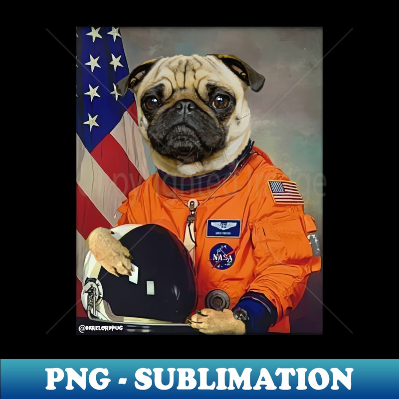 QH-20231101-1438_Astropug 1155.jpg