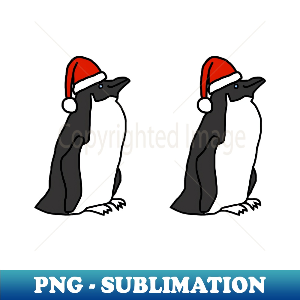 QN-20231101-25606_Two Penguins Wearing Christmas Santa Hats 2245.jpg