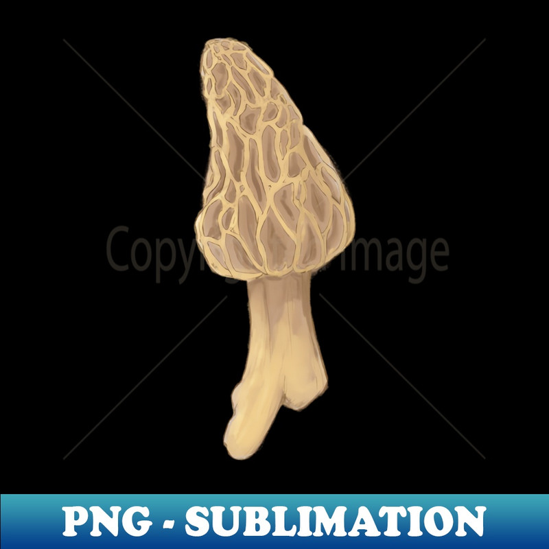 QO-20231101-16563_Morel mushroom 8647.jpg