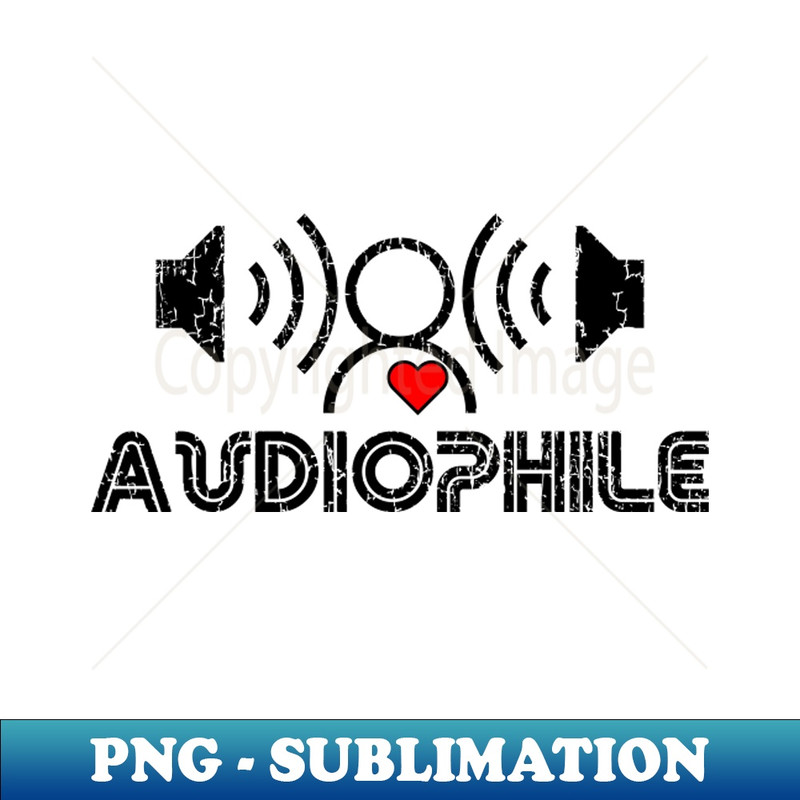 QR-20231101-1464_Audiophile 9200.jpg