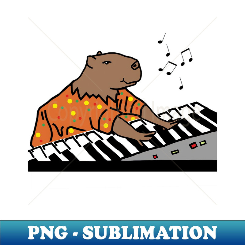 QV-20231101-8622_Funny Capybara Plays Piano 1393.jpg