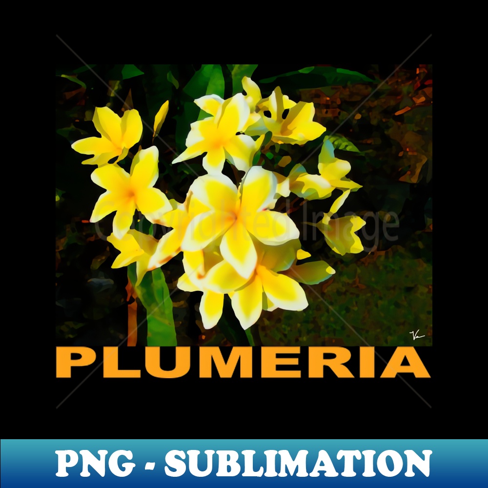 RA-20231101-19021_Plumeria on Kauai 4008.jpg