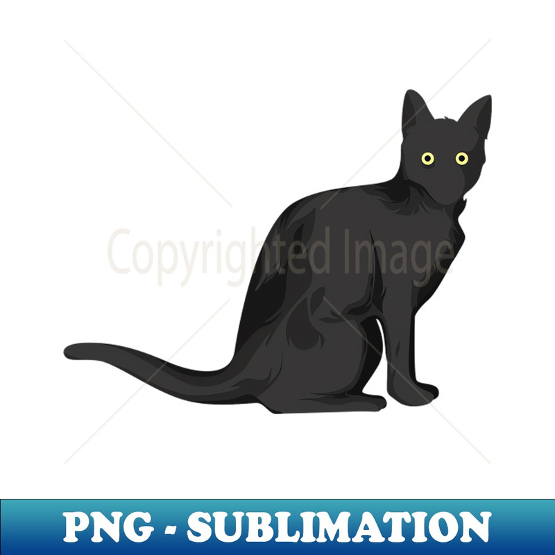 RH-20231101-2537_black cat 6498.jpg