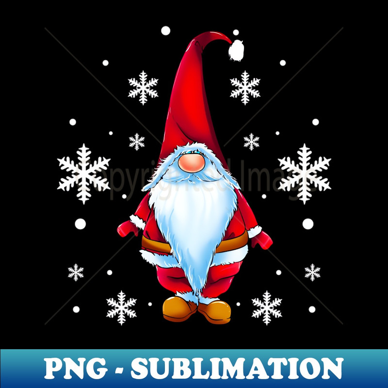 RL-20231101-21366_Santa Claus Gnome Merry Christmas Xmas 1987.jpg