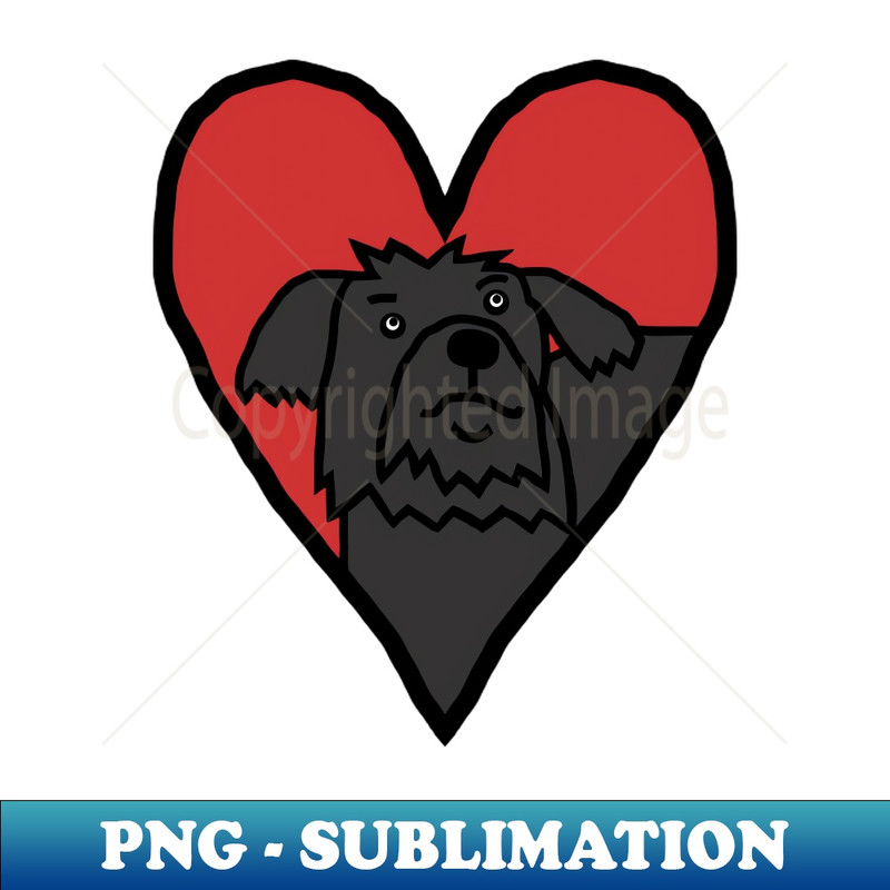 RR-20231101-17001_My Small Valentine Dog 8935.jpg