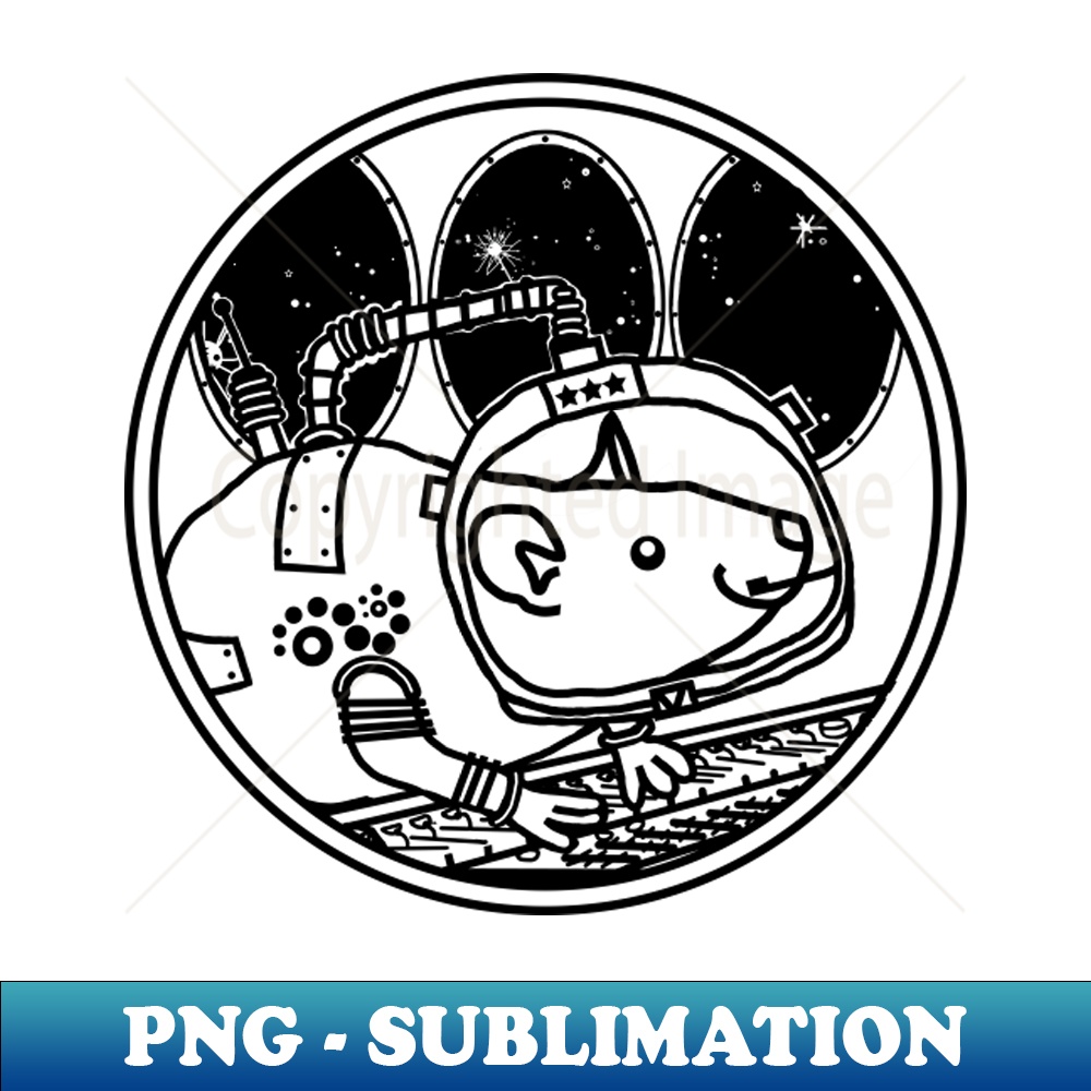 RT-20231101-22685_Space Rat in Spaceship Sci Fi Line Drawing 5491.jpg