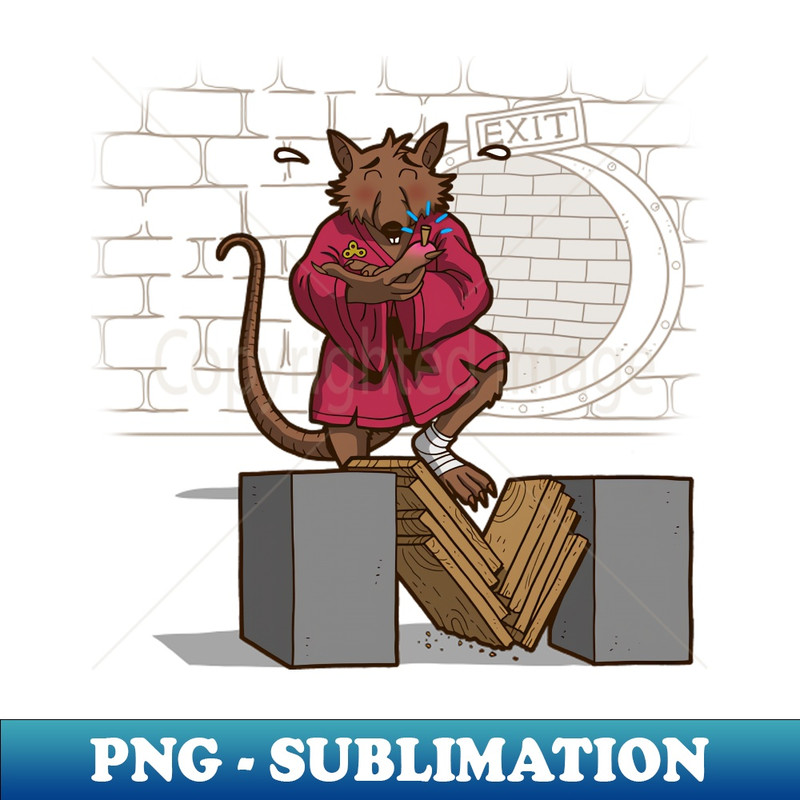 RX-20231101-22750_Splinter Gets A Splinter Karate Funny Ninja Turtles 8825.jpg