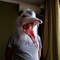 Opossum_mask_party_cospray_2.JPG