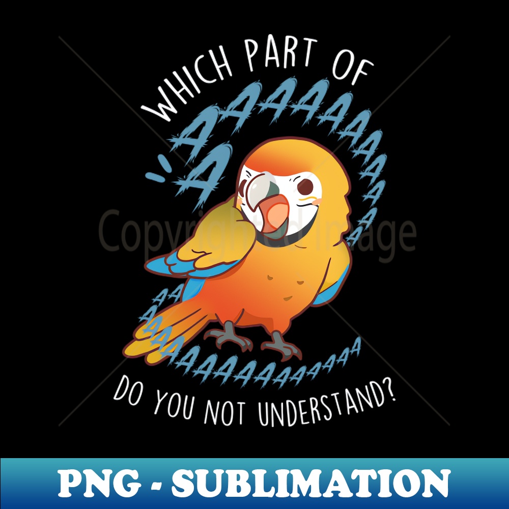 SN-20231101-3420_Camelot Macaw Parrot Aaaa 6491.jpg