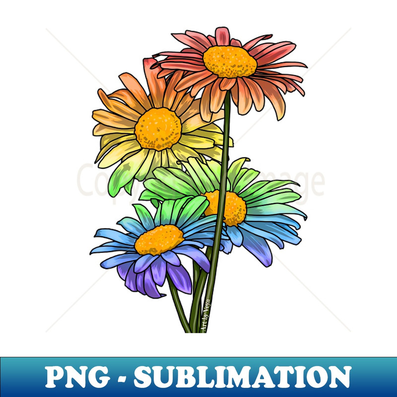 SN-20231101-5640_Daisies Rainbow 2818.jpg