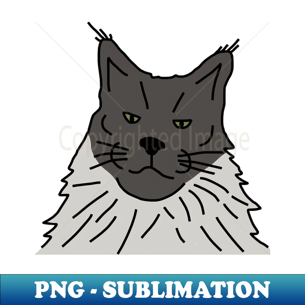 SR-20231101-10107_Grey Maine Coon Cat Line Drawing 8130.jpg