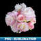 SR-20231101-18858_Pink Peony Flowers and Roses Photo Cutout 5946.jpg