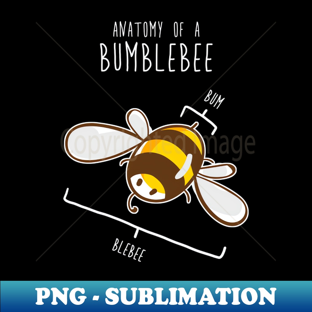 SW-20231101-3221_Bumblebee Anatomy 6309.jpg