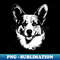SZ-20231101-4832_Corgi Love Dog Portrait 7656.jpg