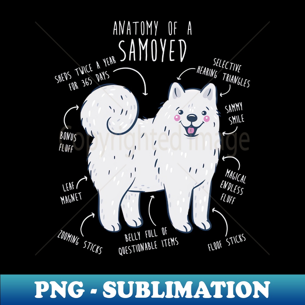 TA-20231101-21315_Samoyed Dog Anatomy 1758.jpg