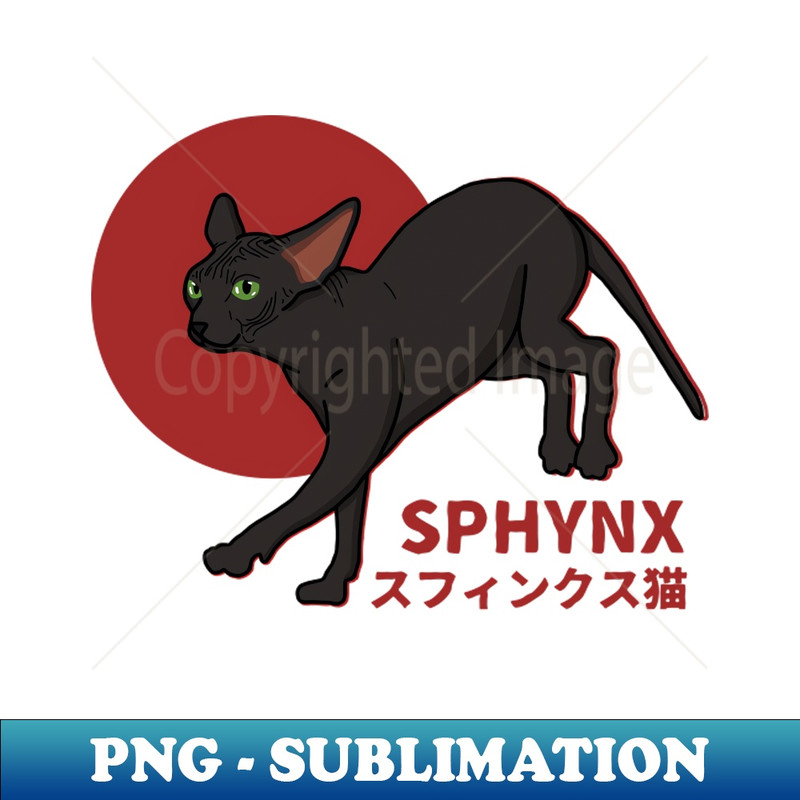TE-20231101-2599_Black Sphynx Cat 9848.jpg