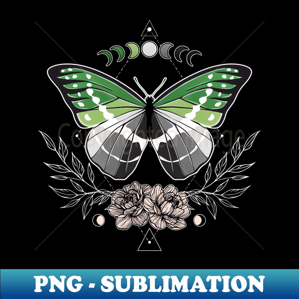 TI-20231101-1278_Aromantic Butterfly LGBT Pride Flag 1375.jpg