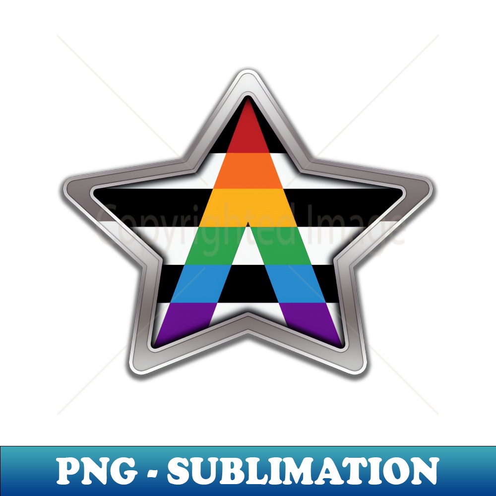 TK-20231101-14380_Large LGBT Ally Pride Flag Colored Star with Chrome Frame 4438.jpg
