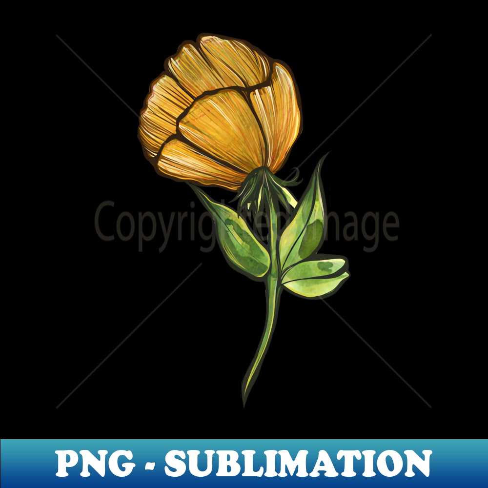 TN-20231101-27492_Yellow Flower 8374.jpg