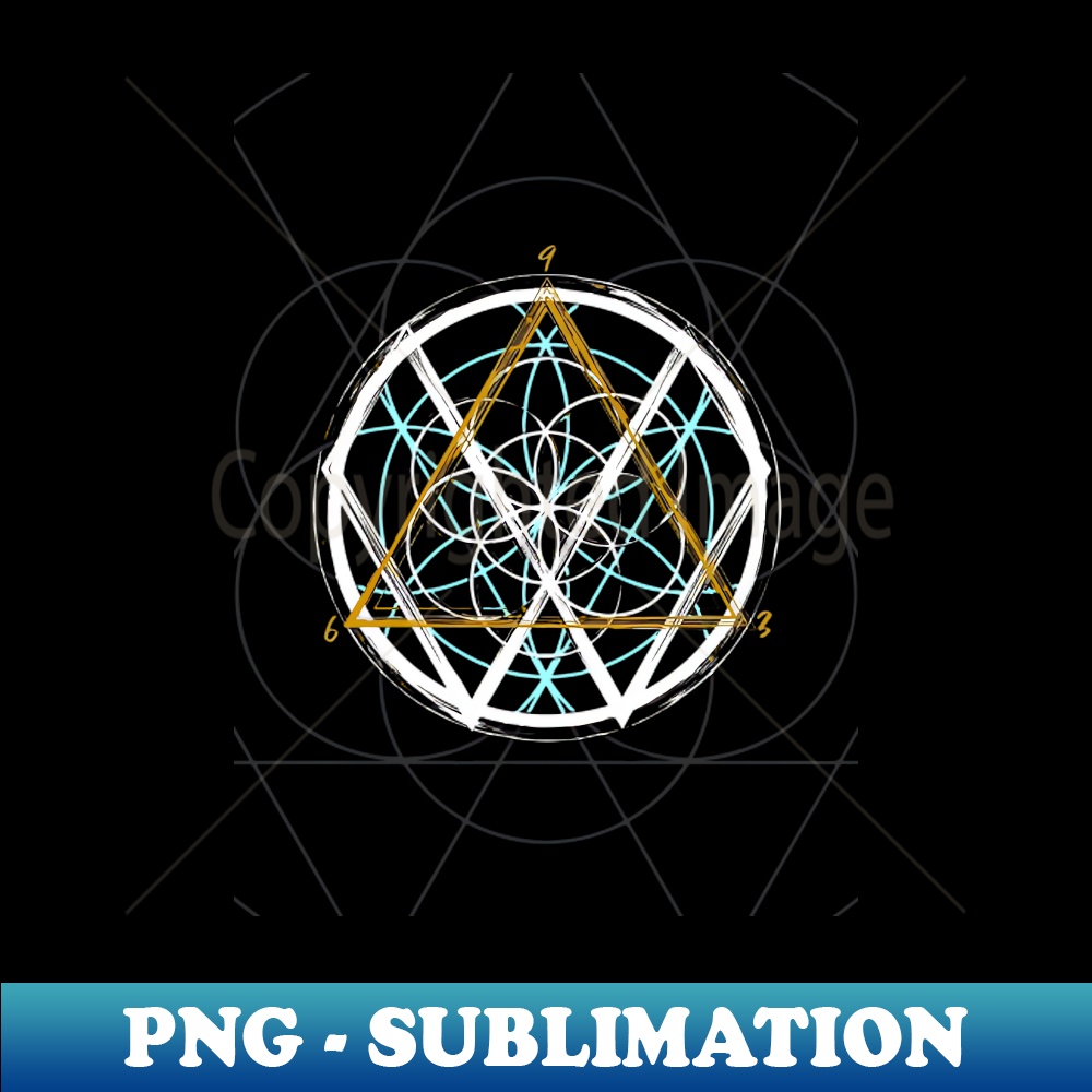 TP-20231101-23877_Tesla Code 369 1296.jpg