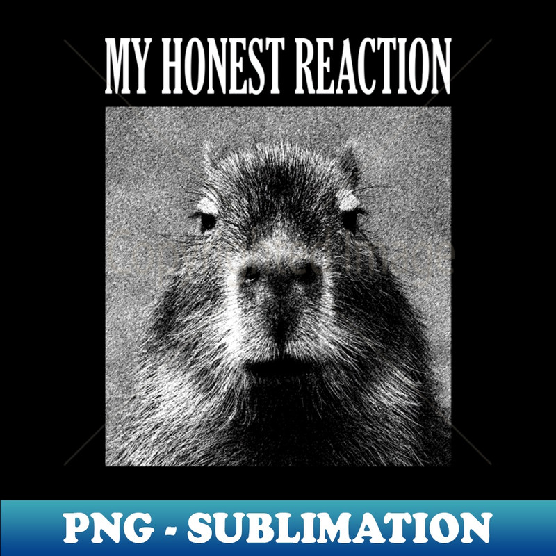 TR-20231101-16950_My Honest Reaction Capybara 4753.jpg