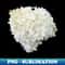 TR-20231101-26935_White Hydrangea Floral Photo Cutout 4421.jpg