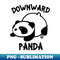 TR-20231101-6579_DOWNWARD PANDA 4958.jpg