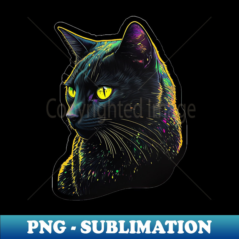 TS-20231101-2547_Black Cat Portrait 2953.jpg