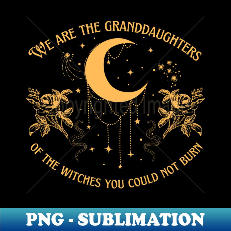 TT-20231101-10002_Granddaughters of Witches You Could Not Burn 6355.jpg